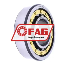 FAG NJ310-E-M1-C4