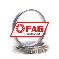 FAG N1015-K-M1-SP