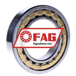 FAG NU215-E-M1-C4