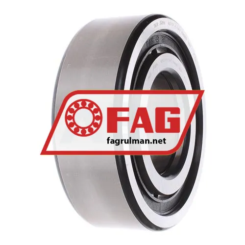 FAG NUP2317-E-TVP2