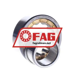 FAG NJ2207E-M1A-C4 rulman resim 2