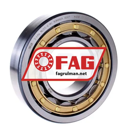 FAG NU315-E-M1