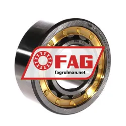 FAG NJ2310-E-M1A-C3
