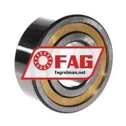 FAG NJ2310-E-M1A-C3 rulman resim 2