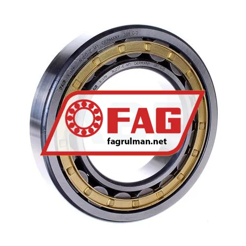 FAG NJ217-E-M1