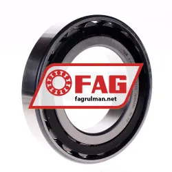 FAG N216-E-TVP2-C3