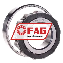 FAG N315E-TVP2 rulman resim 2