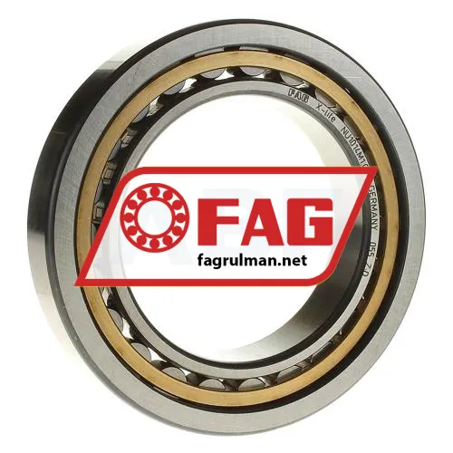 FAG NU1014M1-C3