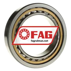 FAG NU1014M1-C3