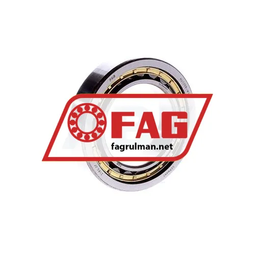 FAG NU1009M1
