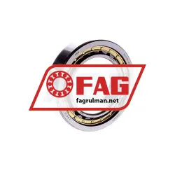 FAG NU1009M1
