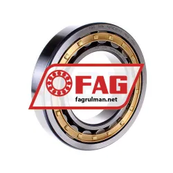 FAG NJ218E-M1-C3