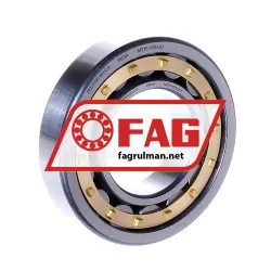 FAG NJ208E-M1-C3
