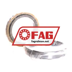 FAG N1013-C-K-PVPA-SP