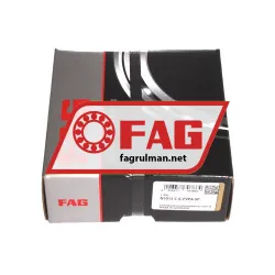 FAG N1013-C-K-PVPA-SP rulman resim 2