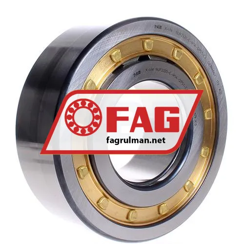 FAG NUP2320-E-M1A-QP51-C4