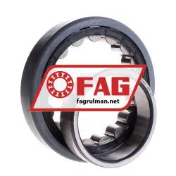 FAG NU218-E-TVP2-J20A-C3 rulman resim 3