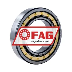 FAG NU215-E-XL-M1-F1-C4