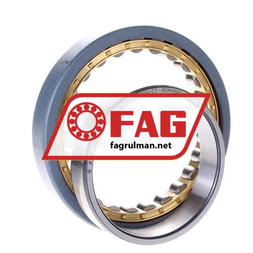 FAG NU1017-XL-M1-F1-J20A-C3 ürün fotoğrafı 2
