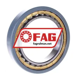 FAG NU1017-XL-M1-F1-J20A-C3