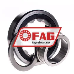 FAG NUP315-E-TVP2-C3 rulman resim 2