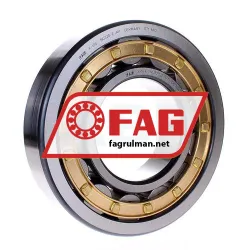 FAG NU320-E-M1