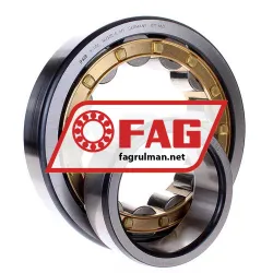 FAG NU320-E-M1 rulman resim 2