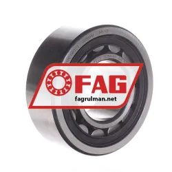 FAG NJ2311E-TVP2-C3