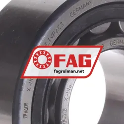 FAG NJ2311E-TVP2-C3 rulman resim 2
