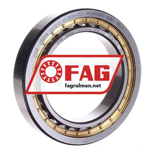 FAG NU1013M1A-C3