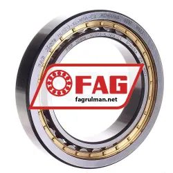 FAG NU1013M1A-C3