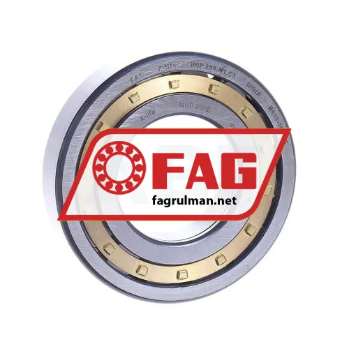 FAG NUP208E-M1-C3