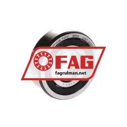 FAG NUP203E-TVP2