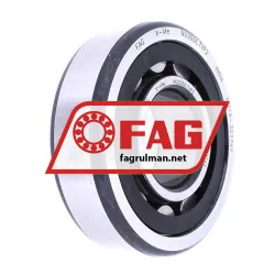 FAG NU305E-TVP2 rulman resim 2