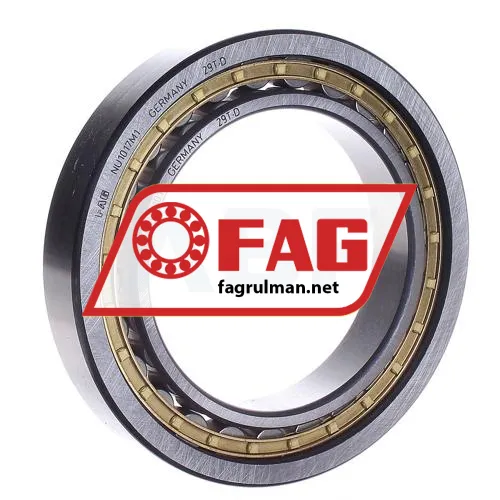 FAG NU1017-M1