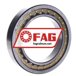 FAG NU1017-M1