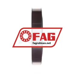 FAG NU1017-M1 rulman resim 4