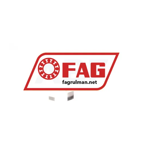 FAG NU1021-M1A-C4