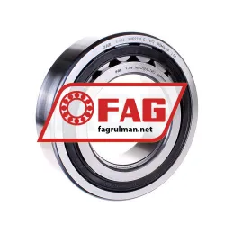 FAG NUP220-E-TVP2