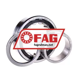 FAG NUP220-E-TVP2 rulman resim 2