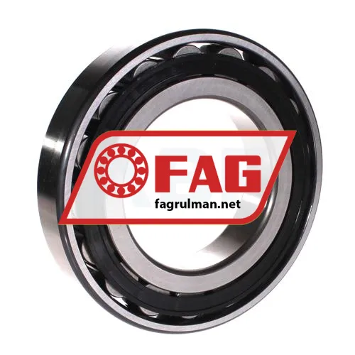 FAG N220-E-TVP2 ürün fotoğrafı 2