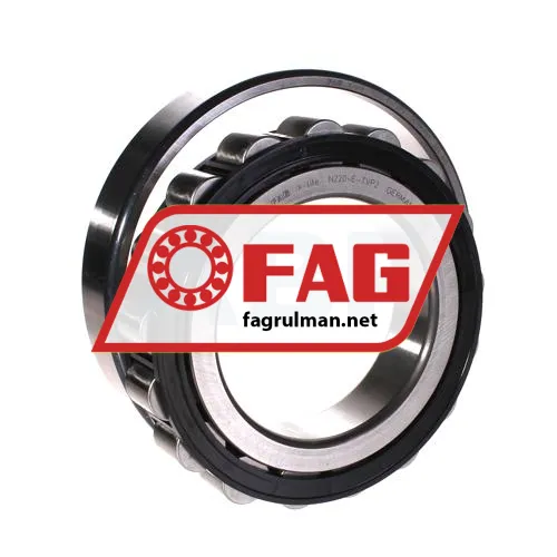 FAG N220-E-TVP2 ürün fotoğrafı 3
