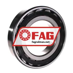 FAG N220-E-TVP2 rulman resim 2