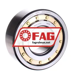 FAG NUP2310E-M1-C3