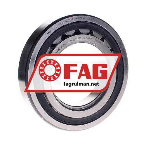 FAG NUP219E-TVP2