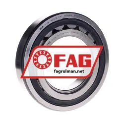 FAG NUP219E-TVP2 rulman resim 1