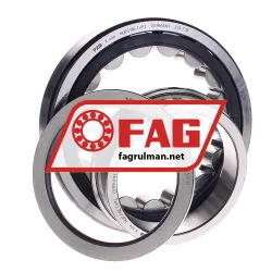 FAG NUP219E-TVP2 rulman resim 2