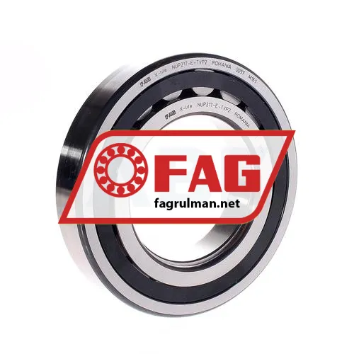 FAG NUP217E-TVP2