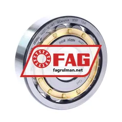 FAG N407-XL-M1
