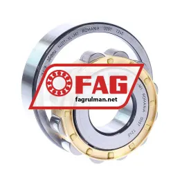 FAG N407-XL-M1 rulman resim 2